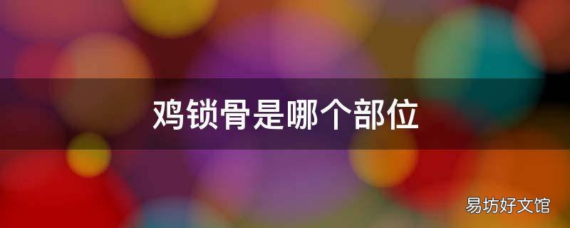鸡锁骨是哪个部位