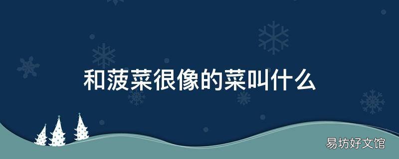 和菠菜很像的菜叫什么