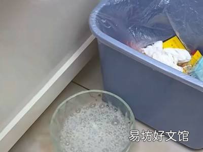 如何消灭苍蝇的好方法