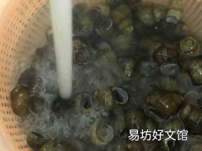 螺丝肉怎么吃