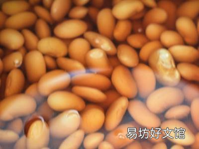 怎么吃芸豆