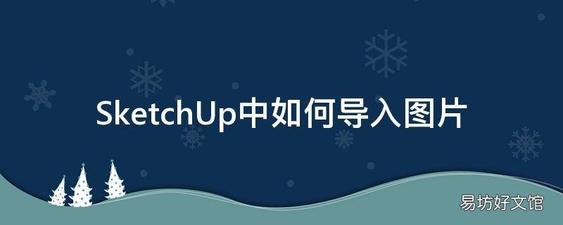 SketchUp中如何导入图片