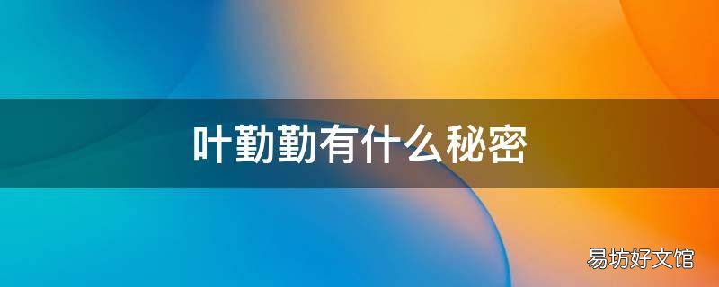 叶勤勤有什么秘密
