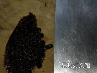 蜂窝怎么吃