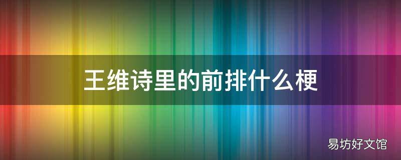 王维诗里的前排什么梗