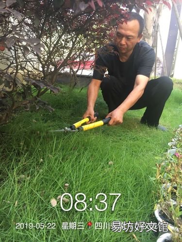 一起来看看这些缓根小妙招吧 多肉缓根期怎么种植