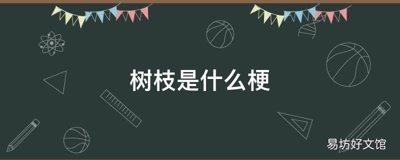 树枝是什么梗