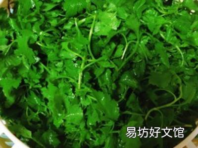 菊花脑怎么做好吃