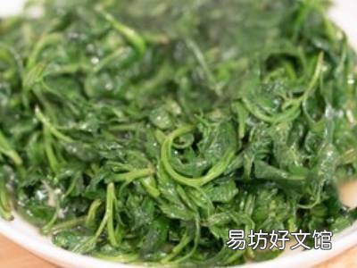 菊花脑怎么做好吃