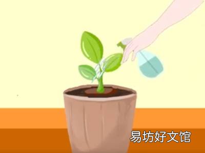 土里肥肥的大白虫怎么消除