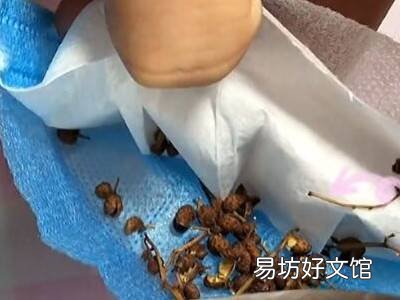 整袋未开封大米夏季怎么保存