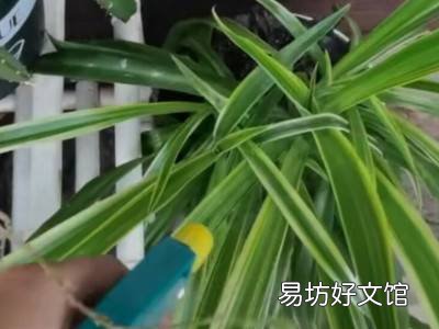 家里发现蜈蚣怎么防治