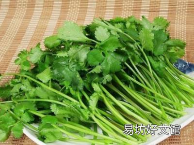 香菜怎么晒干又绿又香