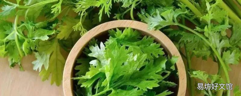 香菜怎么晒干又绿又香