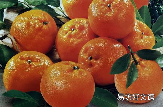 柑橘的营养价值有哪些?吃柑橘可预防中风