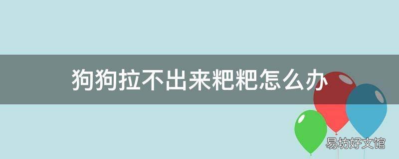 狗狗拉不出来粑粑怎么办