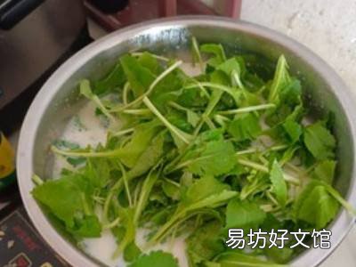 菜豆腐怎么吃