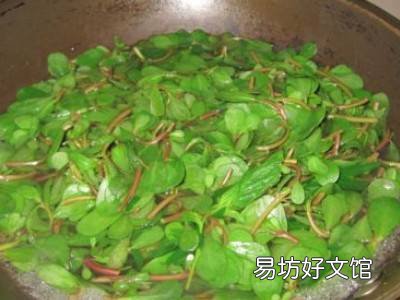 蚂蚱菜怎么吃