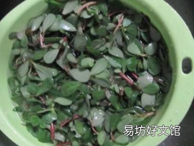 蚂蚱菜怎么吃