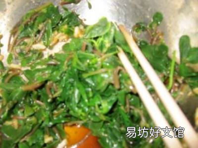 蚂蚱菜怎么吃