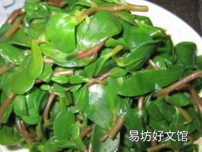 蚂蚱菜怎么吃