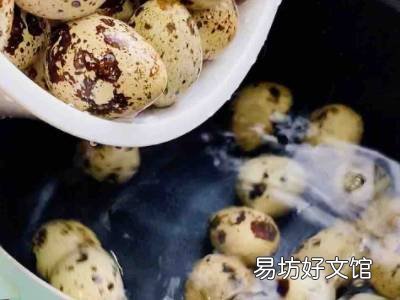 怎么泡盐蛋