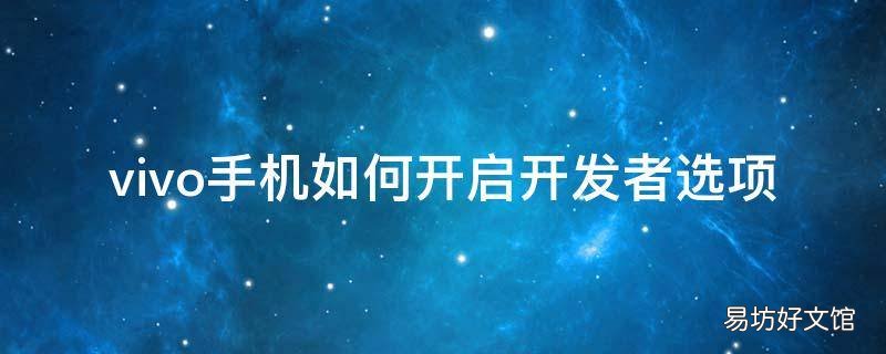 vivo手机如何开启开发者选项