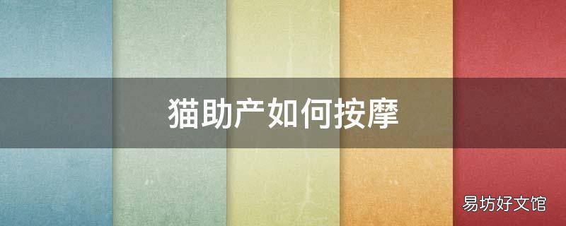 猫助产如何按摩