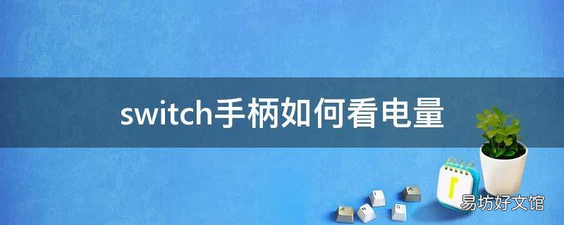 switch手柄如何看电量