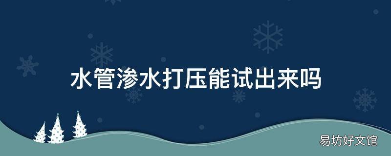 水管渗水打压能试出来吗