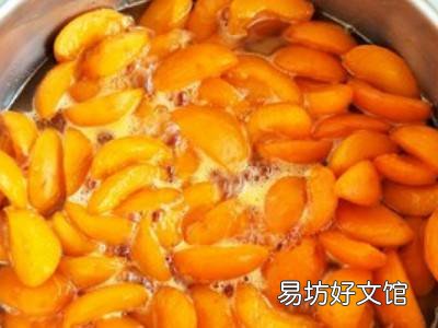 杏肉干怎么吃