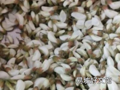 洋槐树花怎么吃
