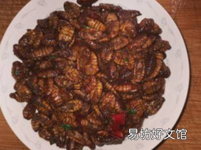 怎么吃蚕蛹