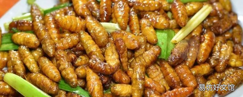 怎么吃蚕蛹
