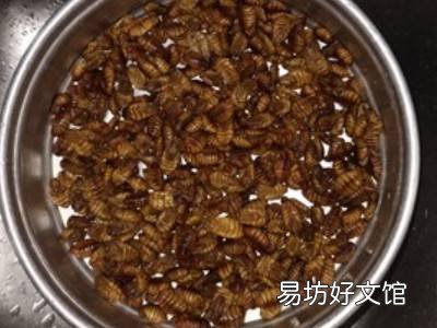 怎么吃蚕蛹
