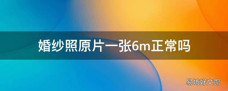 婚纱照原片一张6m正常吗
