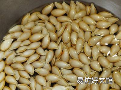 南瓜子怎么吃才好