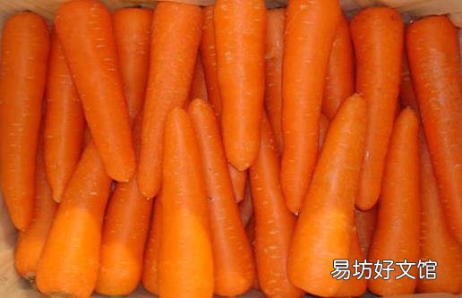 四种萝卜各有什么营养?红白萝卜混吃是禁忌