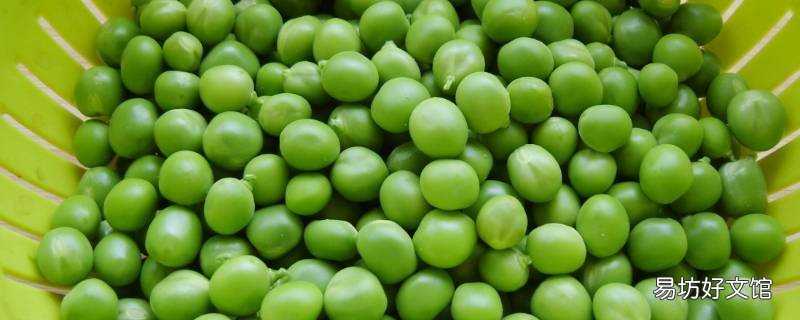 青豆怎么吃