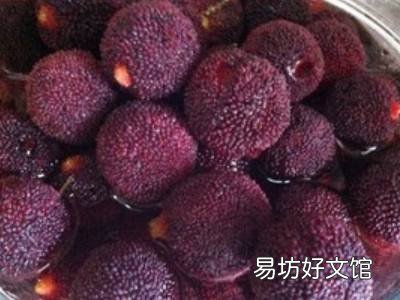 杨梅干怎么吃