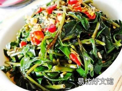枸杞芽怎么做才好吃
