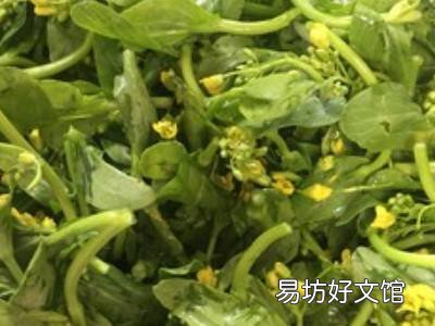 油菜怎么吃