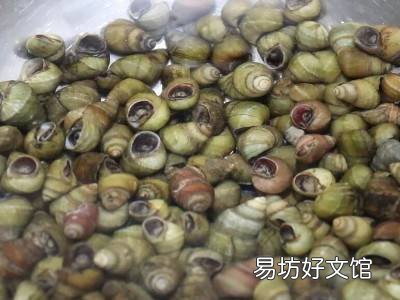 螺丝要不要焯水再炒