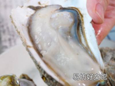 怎么蒸生蚝