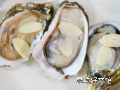 怎么蒸生蚝