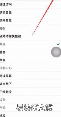 苹果12截图怎么截