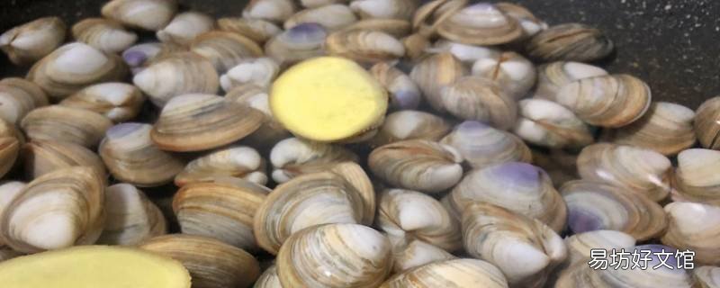 蛤蜊怎么吃法