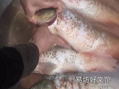 鱼下锅前怎么处理