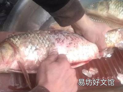 鱼下锅前怎么处理