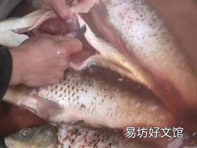 鱼下锅前怎么处理